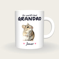 Personalised Field Mouse Mug, Best Grandad, front